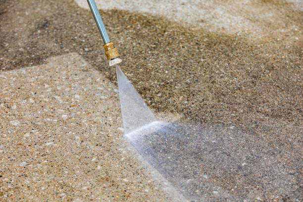 Best Roof Cleaning and Mildew Removal in Stanfield, NC